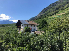 Pixnerhof - Urlaub am Biohof